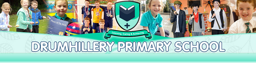 Drumhillery Primary School